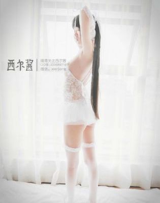 欧美精品视频免费播放_DVD视频大全