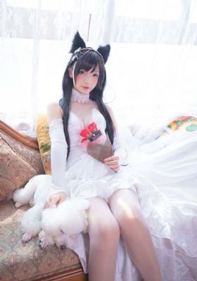 色哟哟哟哟精品一二三区_BD英语全集免费播放